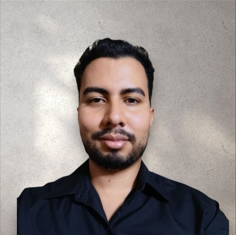 Ernesto España, Software Consulting